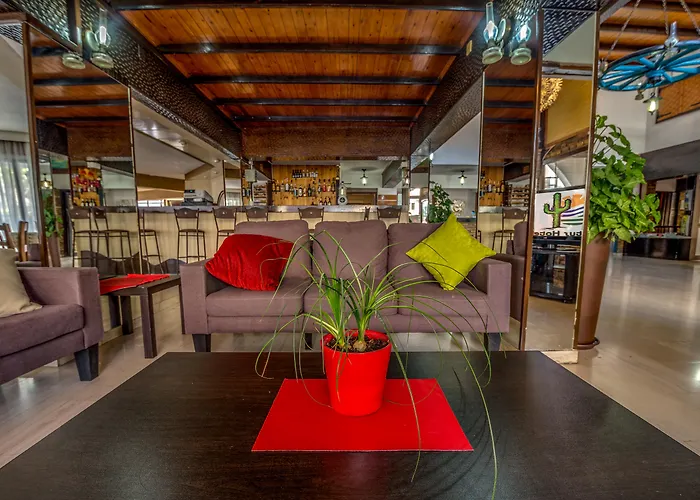 Kid friendly hotel Cactus