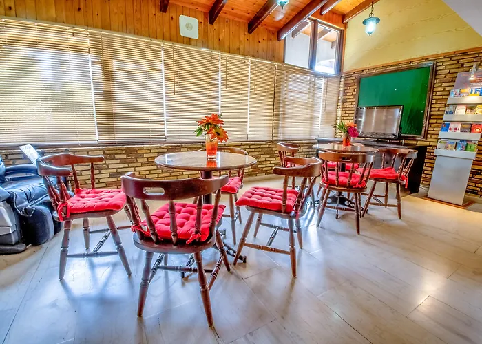 Kid friendly hotel Cactus