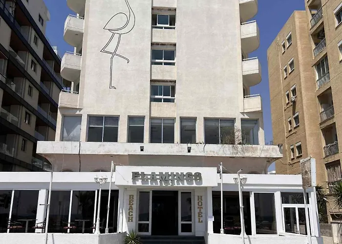 3 star hotel: Flamingo Beach Hotel